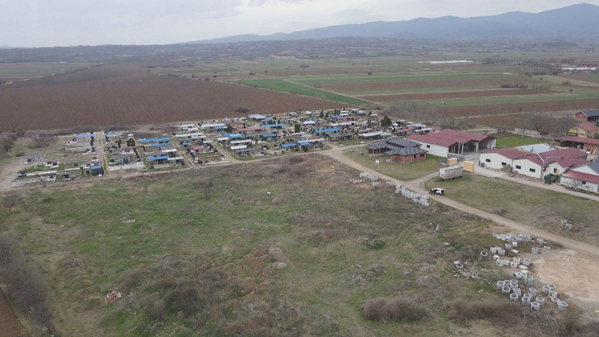 Zoran Brkić (9).jpg