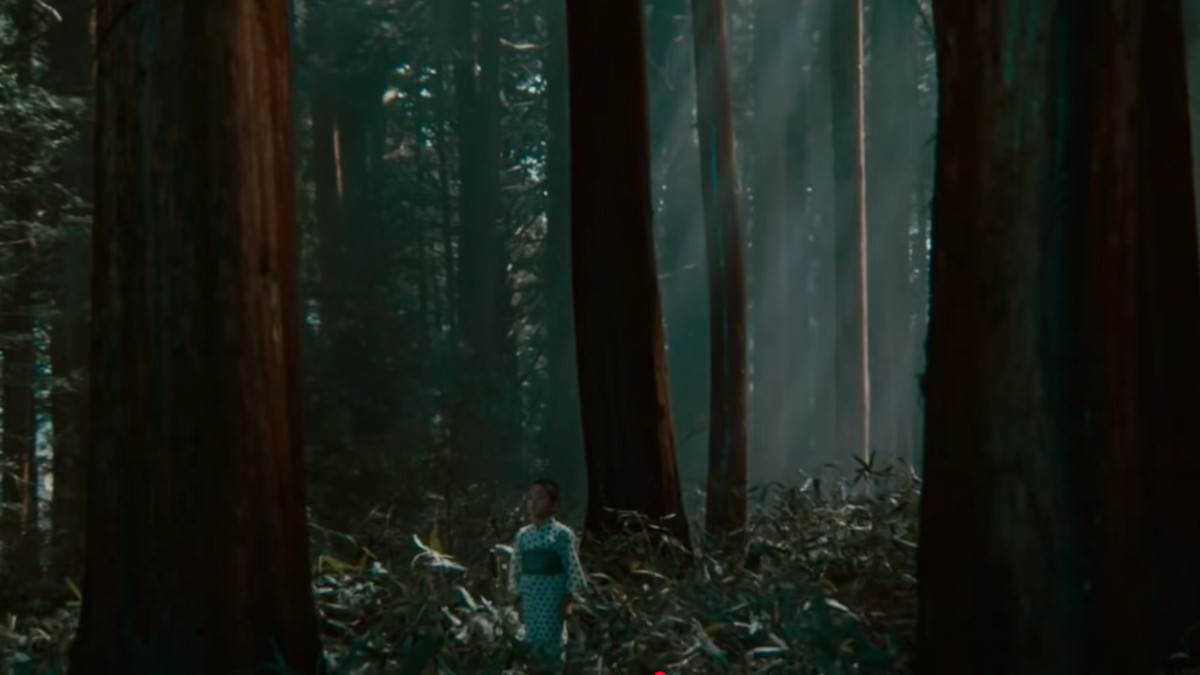 Akira Kurosava film dečak.jpg