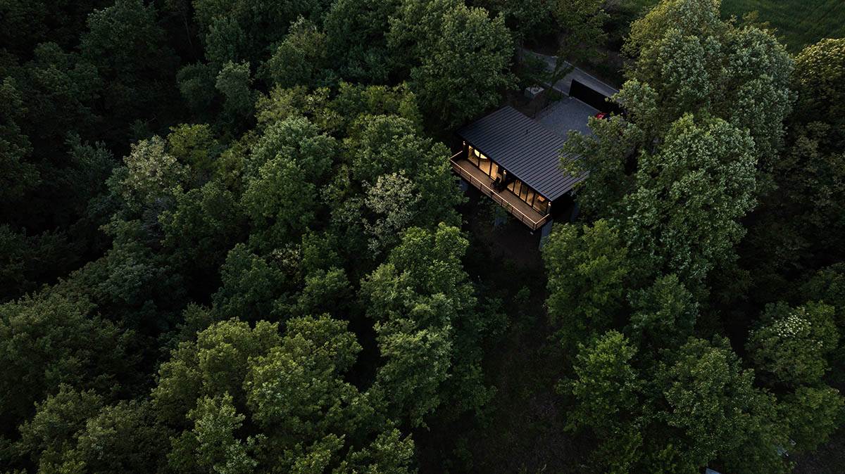 Chado Belgrade (1).jpg