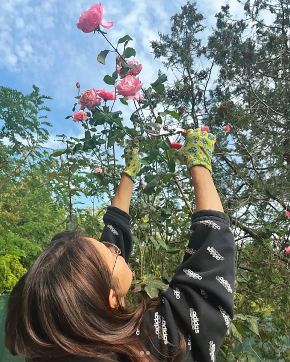 Jelena Bačić Alimpić