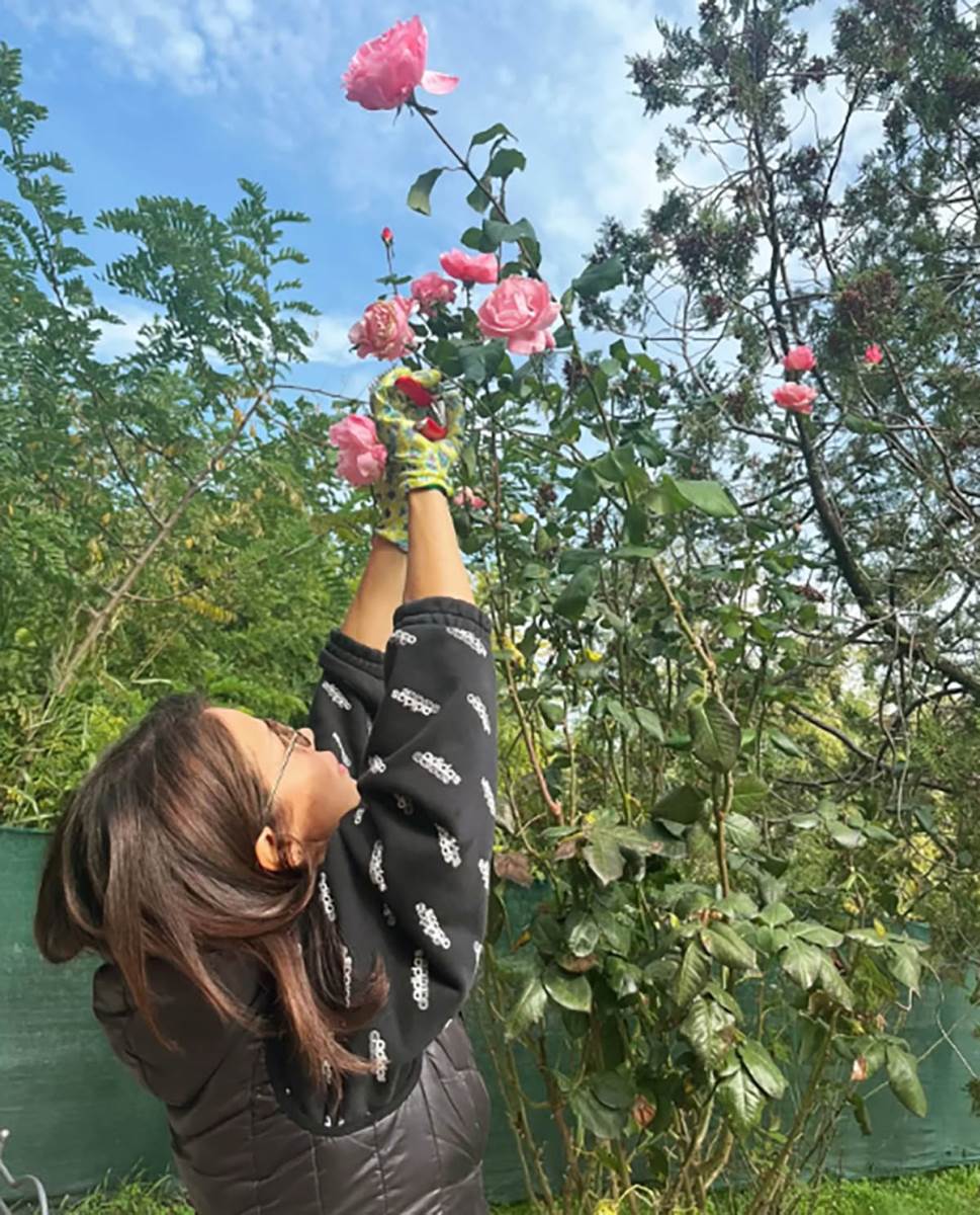 Jelena Bačić Alimpić