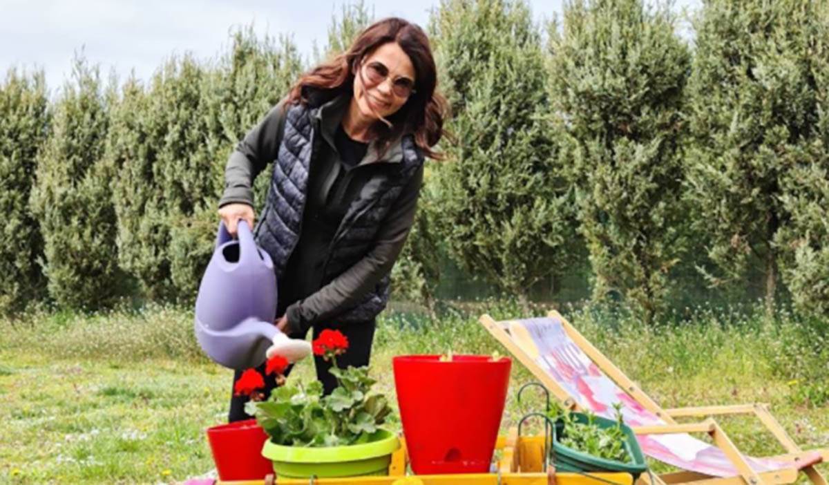 Jelena Bačić Alimpić