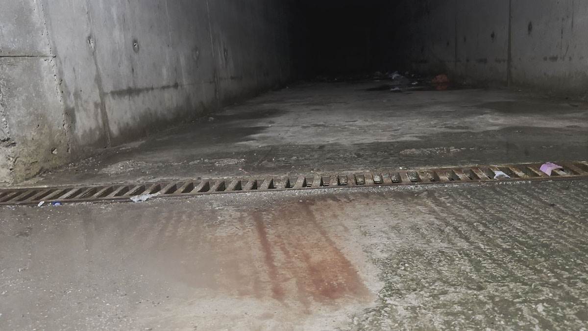 Ubistvo u Vučitnu (1).jpg