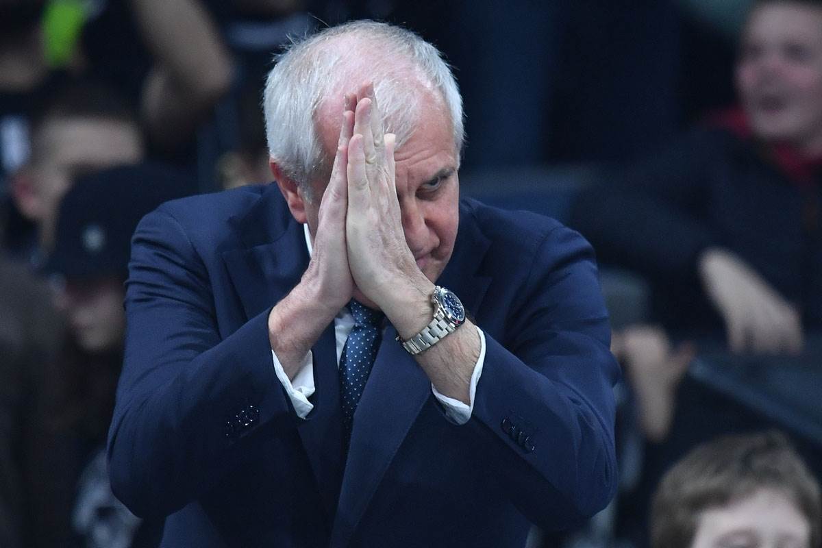 Partizan - Alba (11).jpg