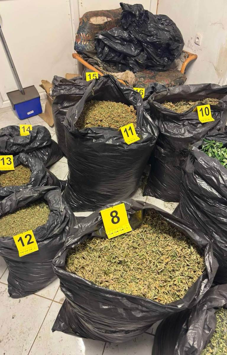 Policija pronašla laboratoriju marihuane kod Zrenjanina