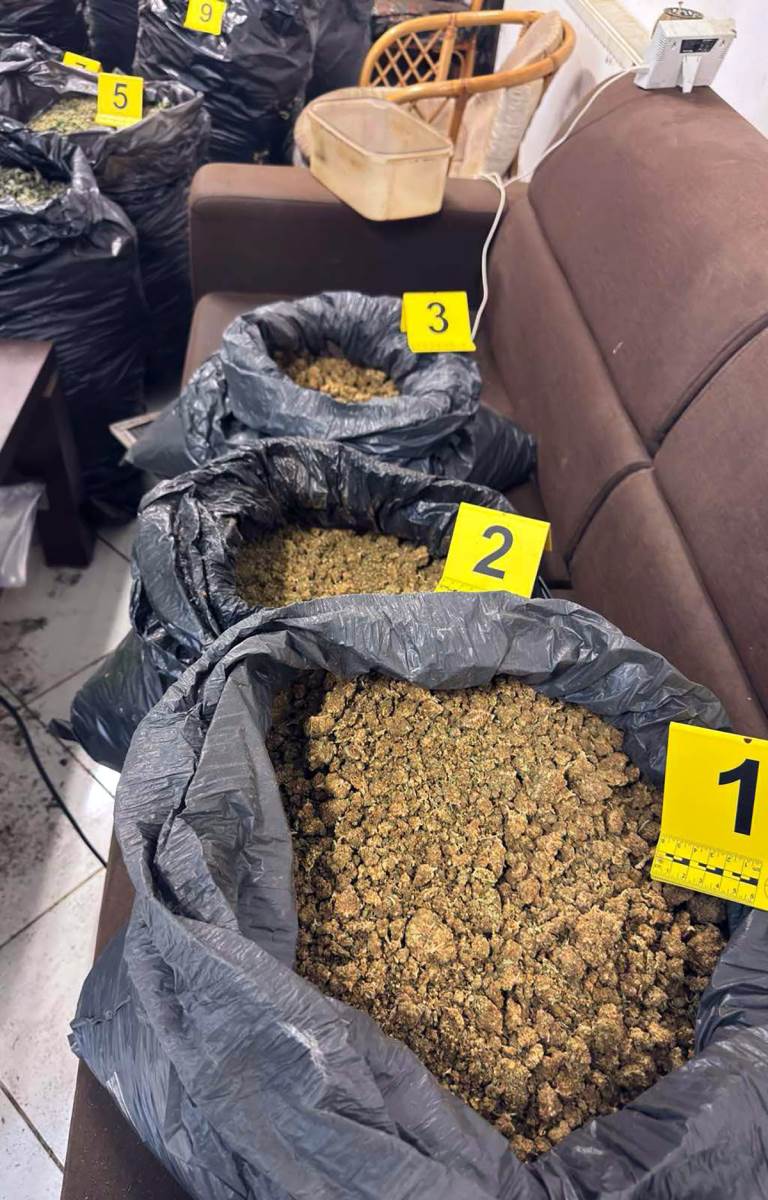 Policija pronašla laboratoriju marihuane kod Zrenjanina