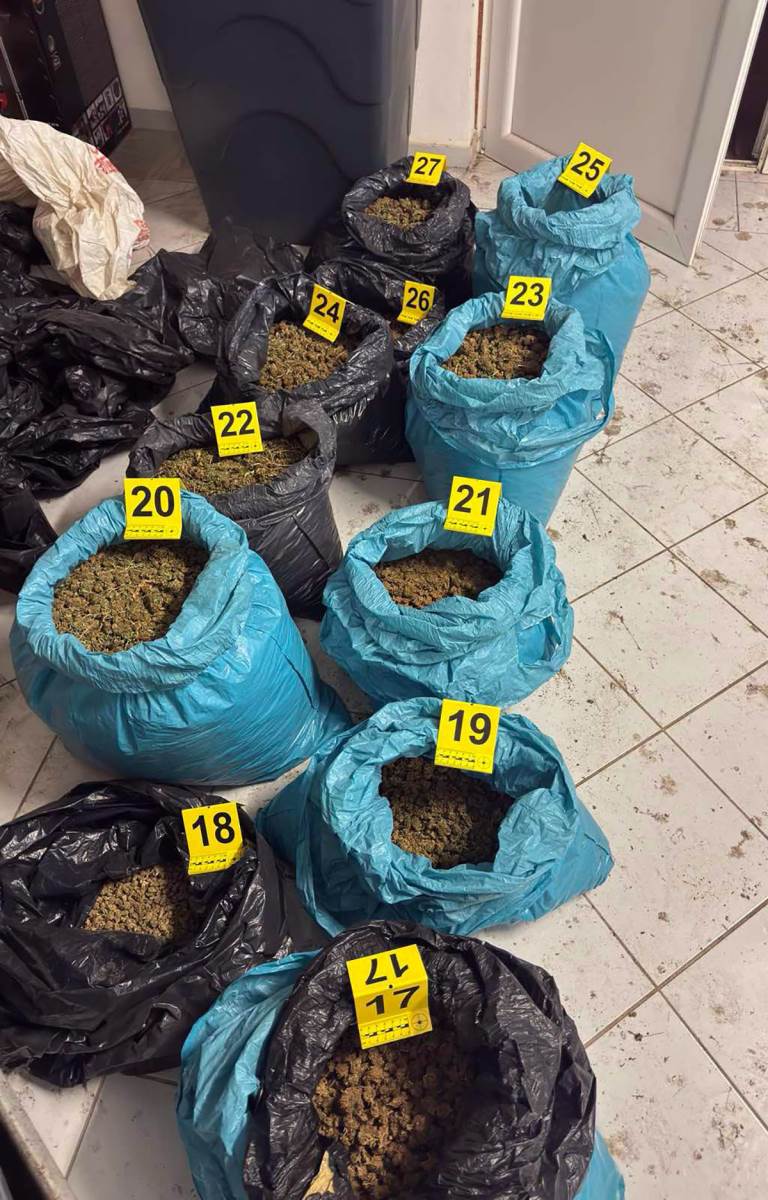 Policija pronašla laboratoriju marihuane kod Zrenjanina