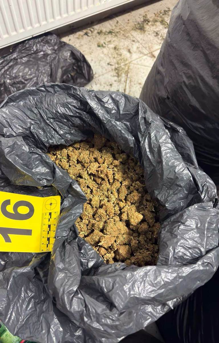 Policija pronašla laboratoriju marihuane kod Zrenjanina