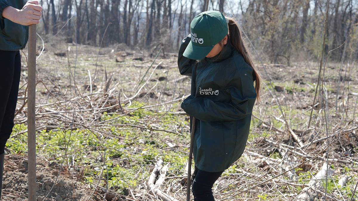 250321 Mladen Nikolic (299) copy.jpg