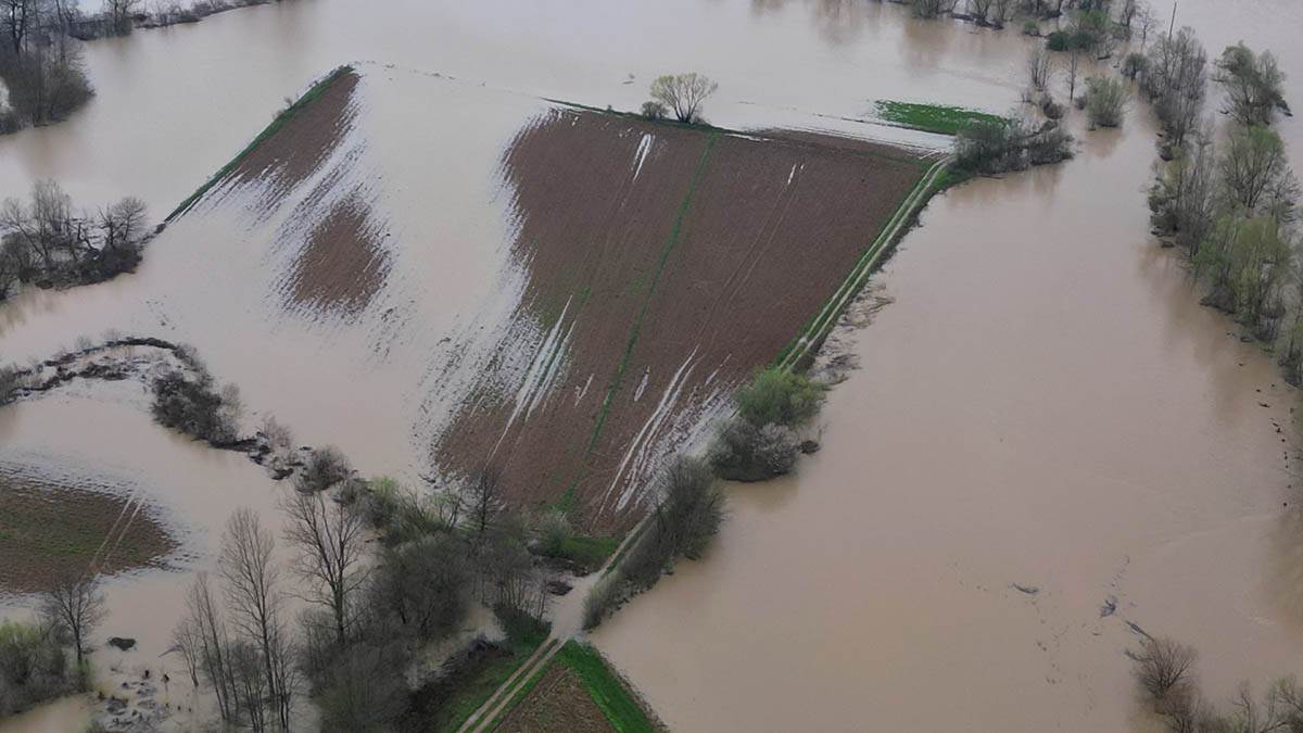 Jadar kod Loznice (2).jpg