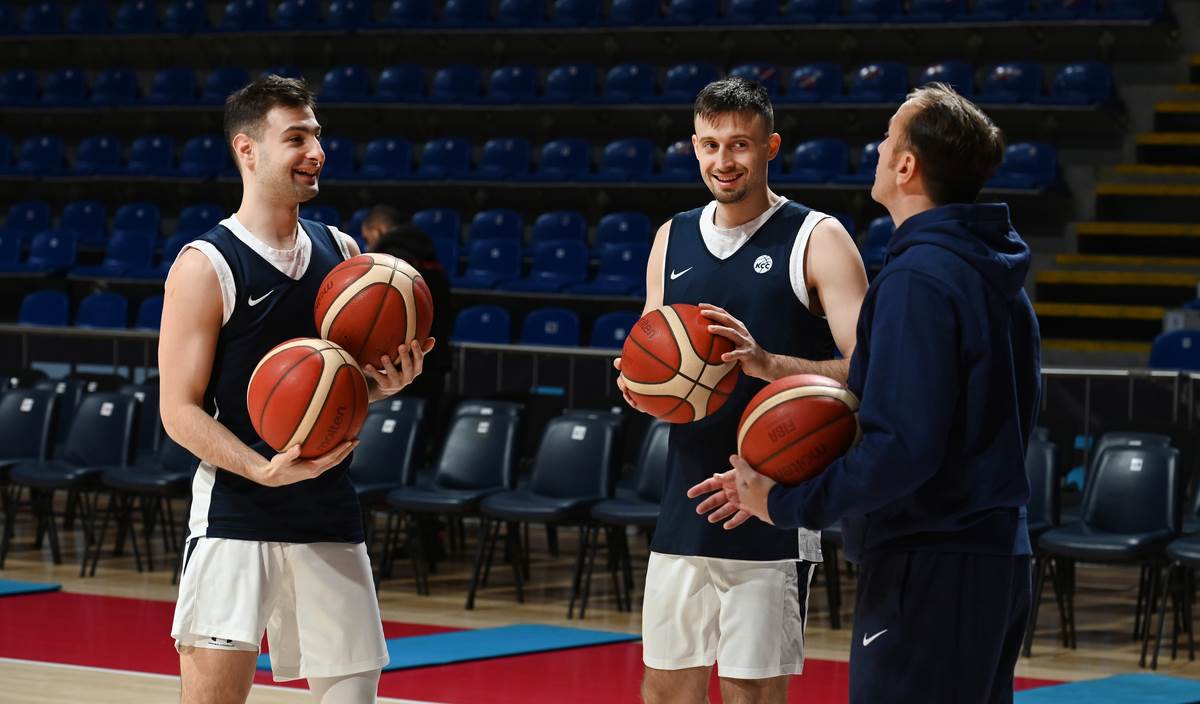 Mihailo Petrović i Aleksa Avramović