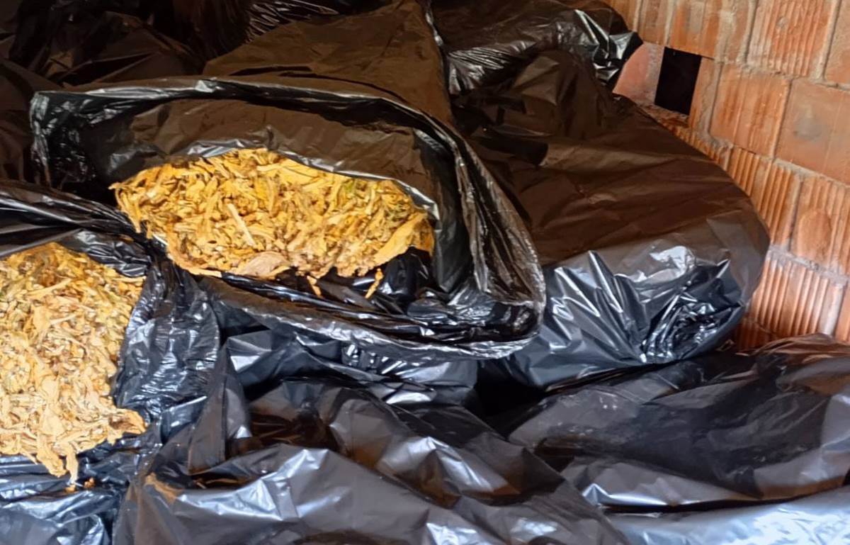 Nelegalni promet (11).jpg