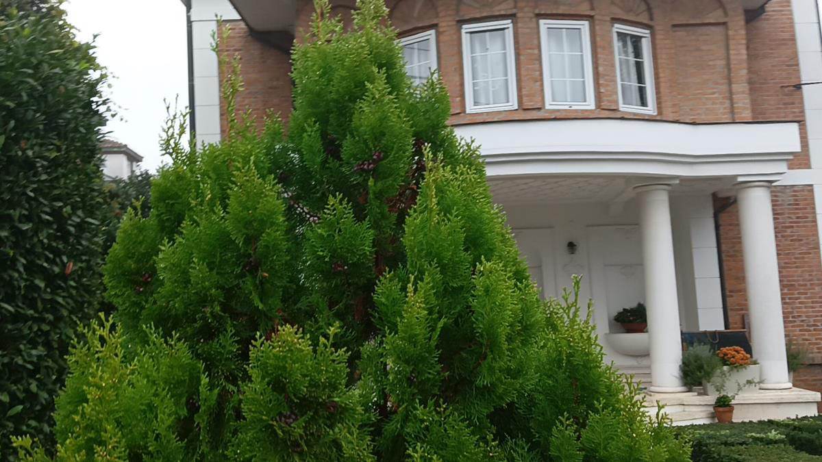 Vile Gorana Breogvića na Senjaku (1).jpg