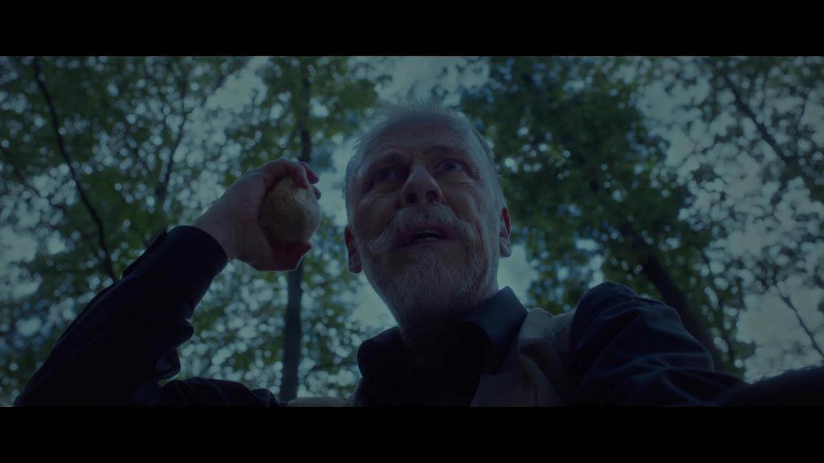 Kalkanski krugovi 8.jpg