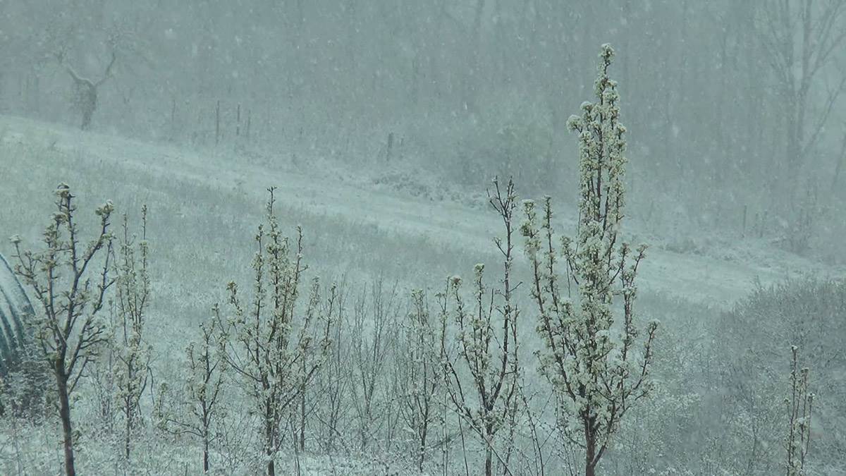 sneg i mećava u aprilu (5).jpg
