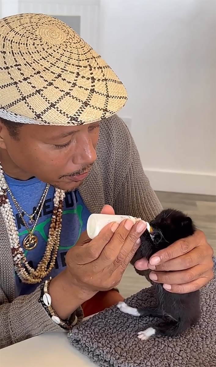 Terens Hovard  (4).jpg