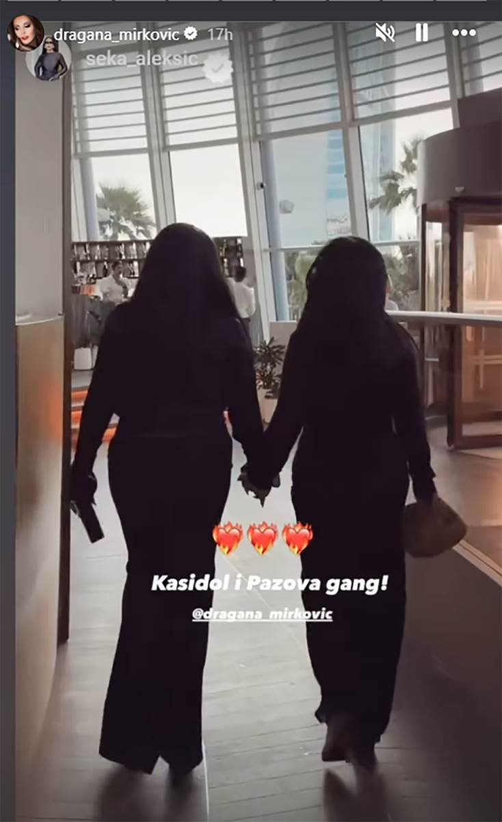 Dragana Mirković Seka Aleksić (1).jpg