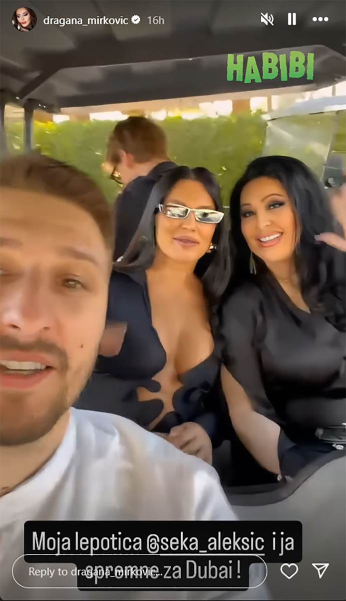 Dragana Mirković Seka Aleksić (3).jpg