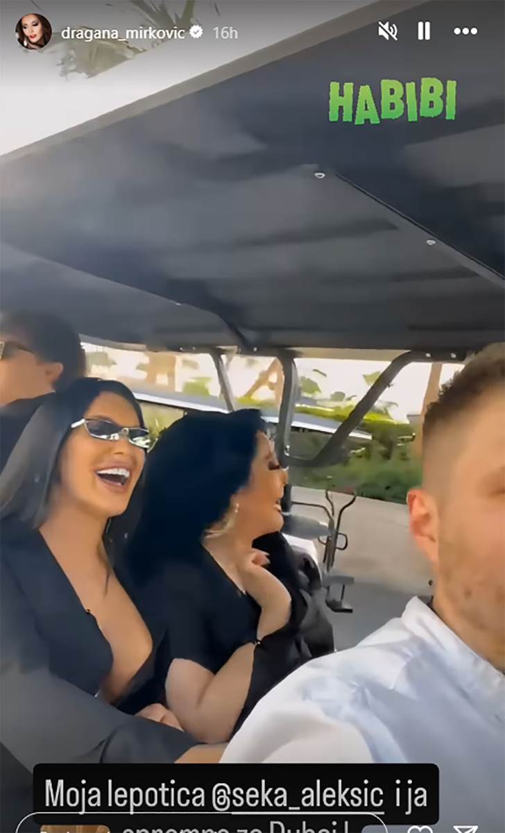 Dragana Mirković Seka Aleksić (5).jpg