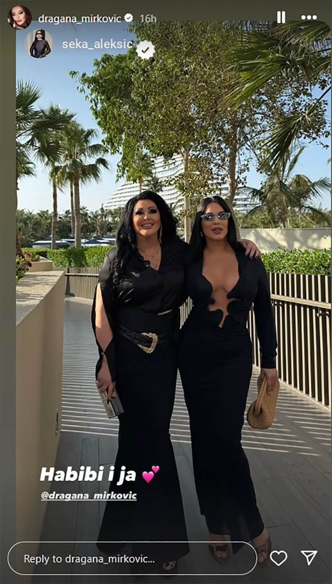 Dragana Mirković Seka Aleksić (6).jpg