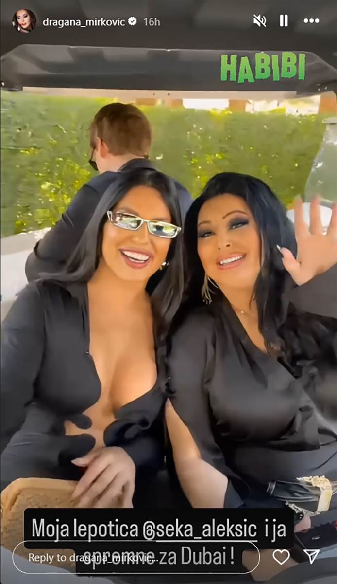 Dragana Mirković Seka Aleksić (8).jpg