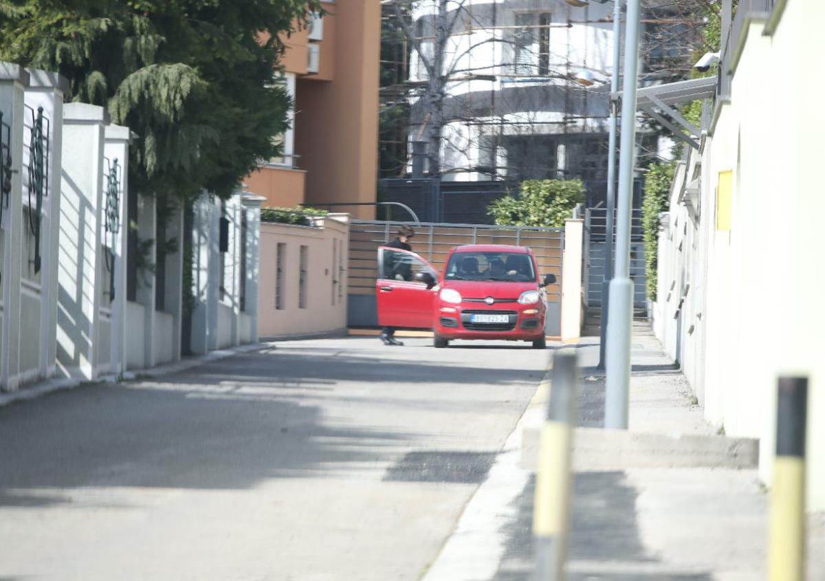 Vila Zdravka Čolića (2).jpg