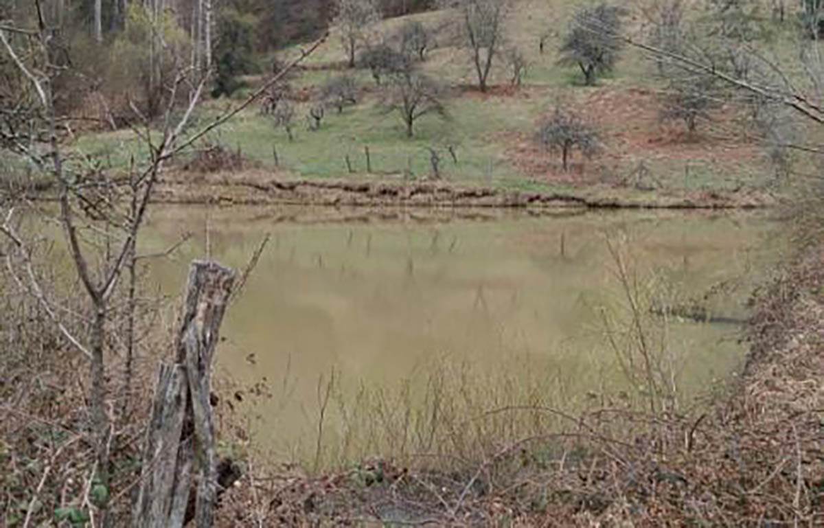 Ekoloski kriminal (9).jpg