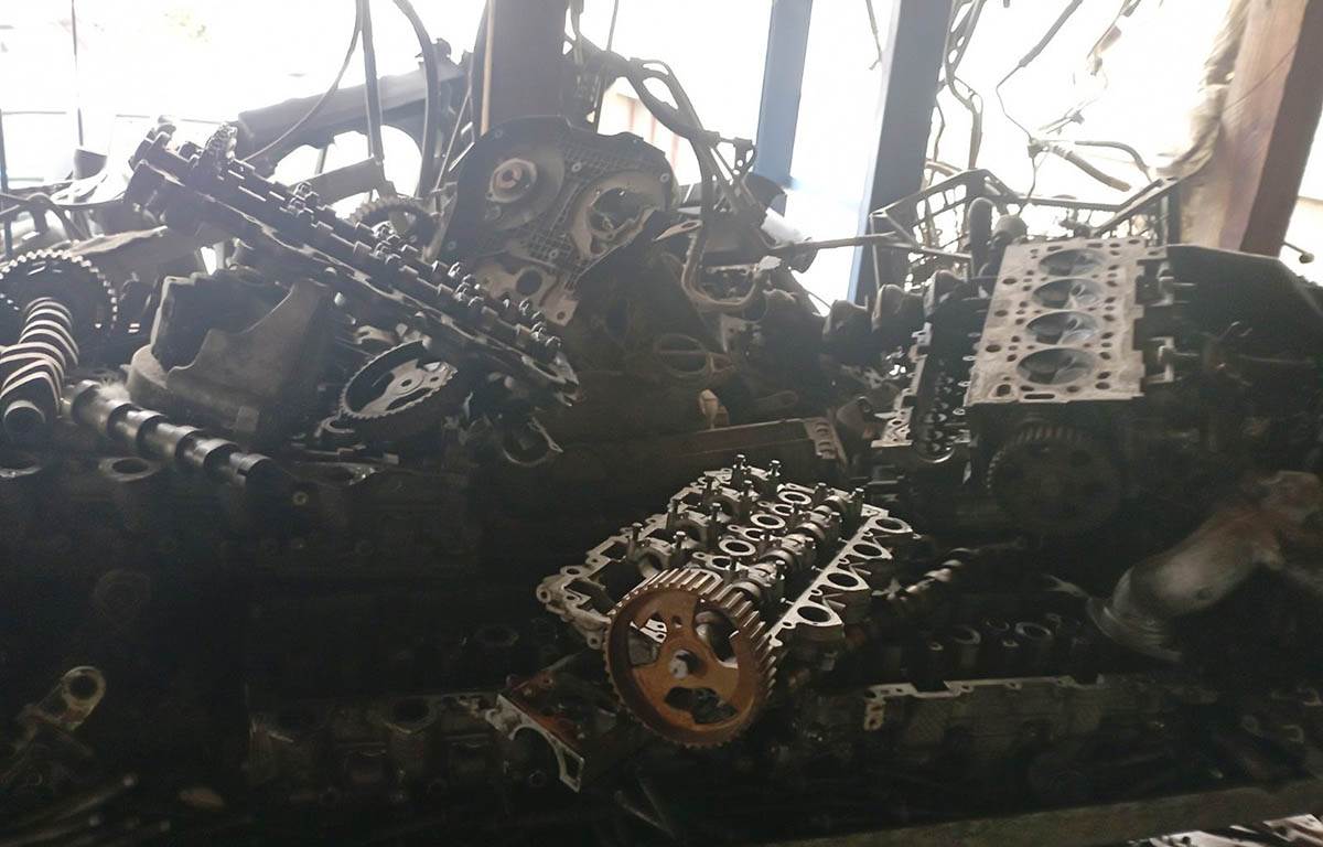 Ekoloski kriminal (10).jpg