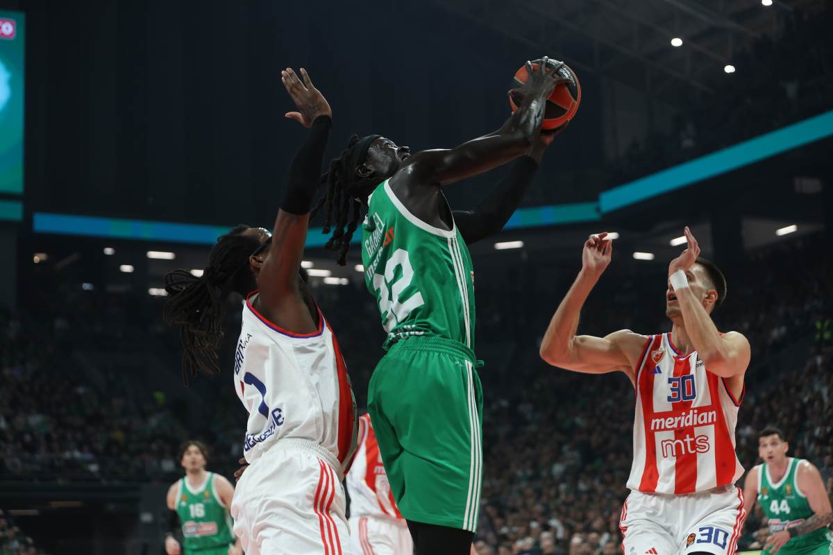 KK Crvena zvezda - KK Panatinaikos