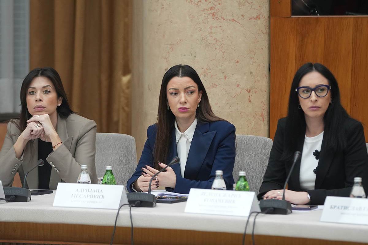 Adrijana Mesarović (1).jpg