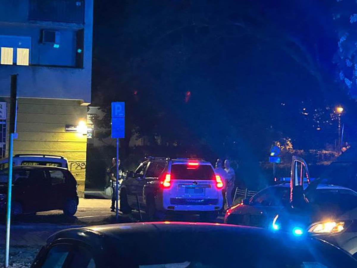 ubistvo, žena, novi sad, policija