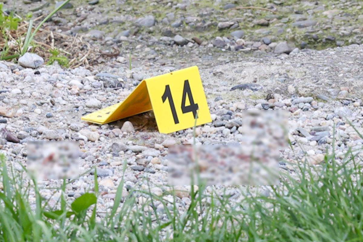 Ubistvo na Konjarniku (1).jpg