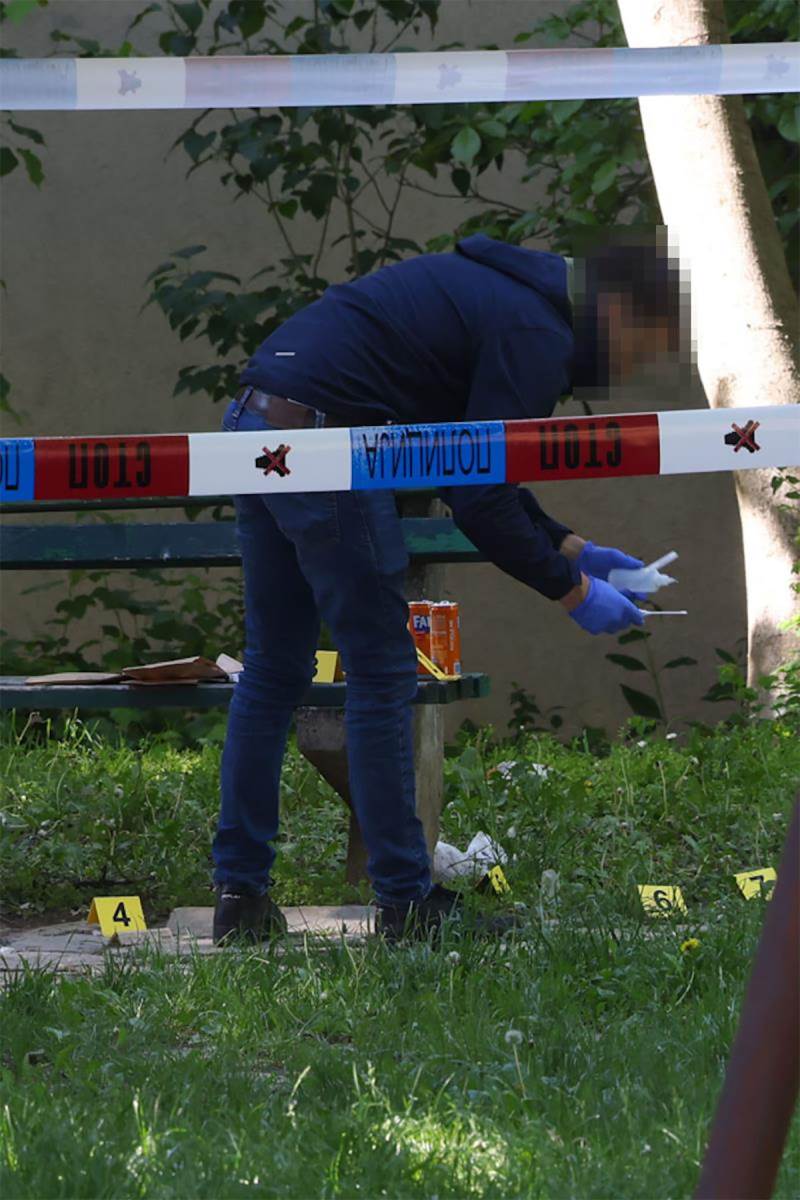 Ubistvo na Konjarniku (3).jpg