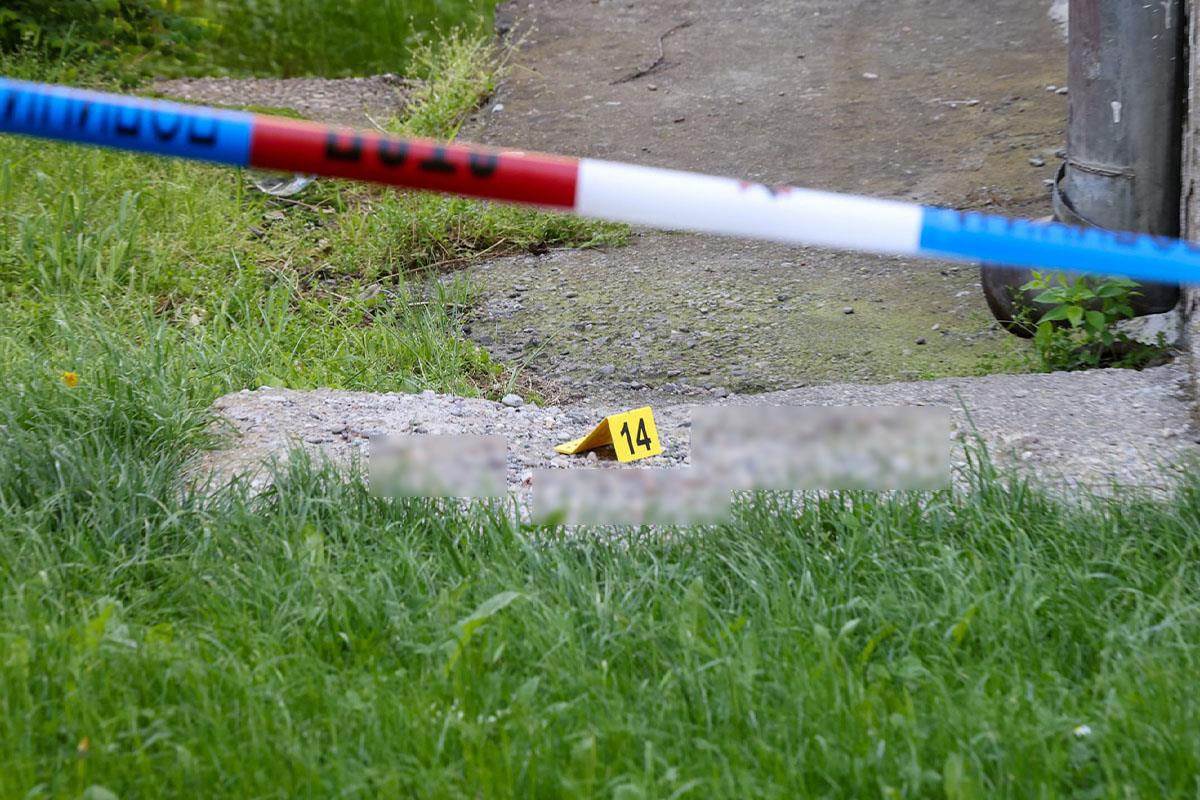 Ubistvo na Konjarniku (4).jpg