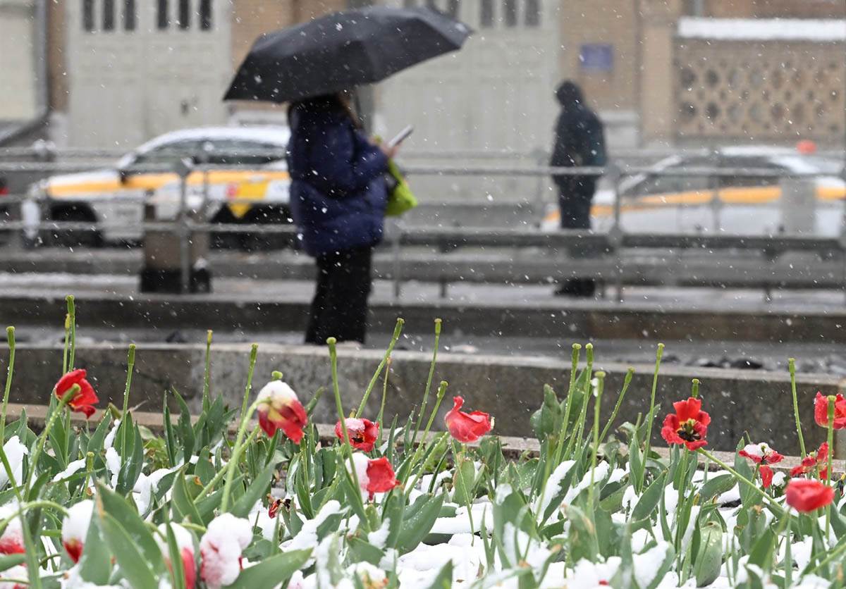 sneg u Moskvi (5).jpg