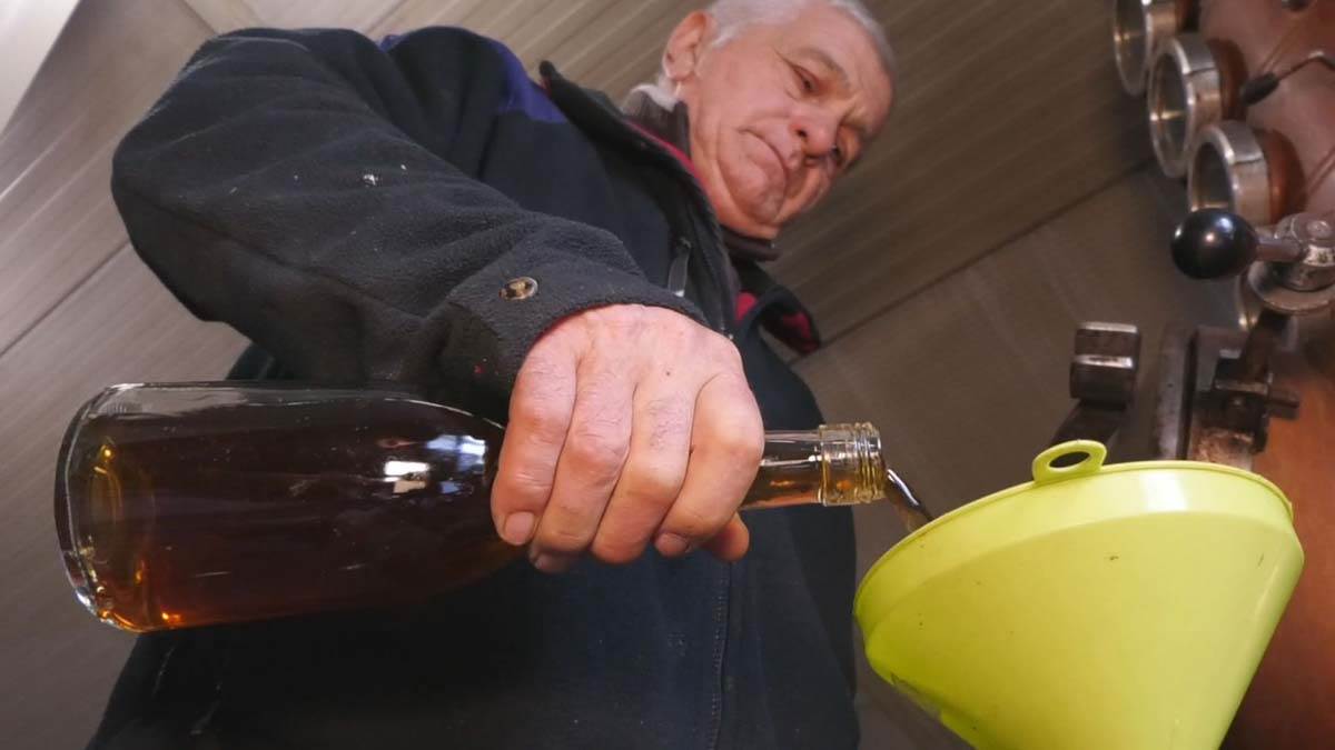 Srbija prva u Evropi po proizvodnji šljiva 3.jpg