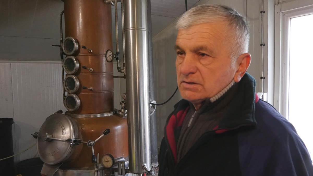 Srbija prva u Evropi po proizvodnji šljiva 4.jpg