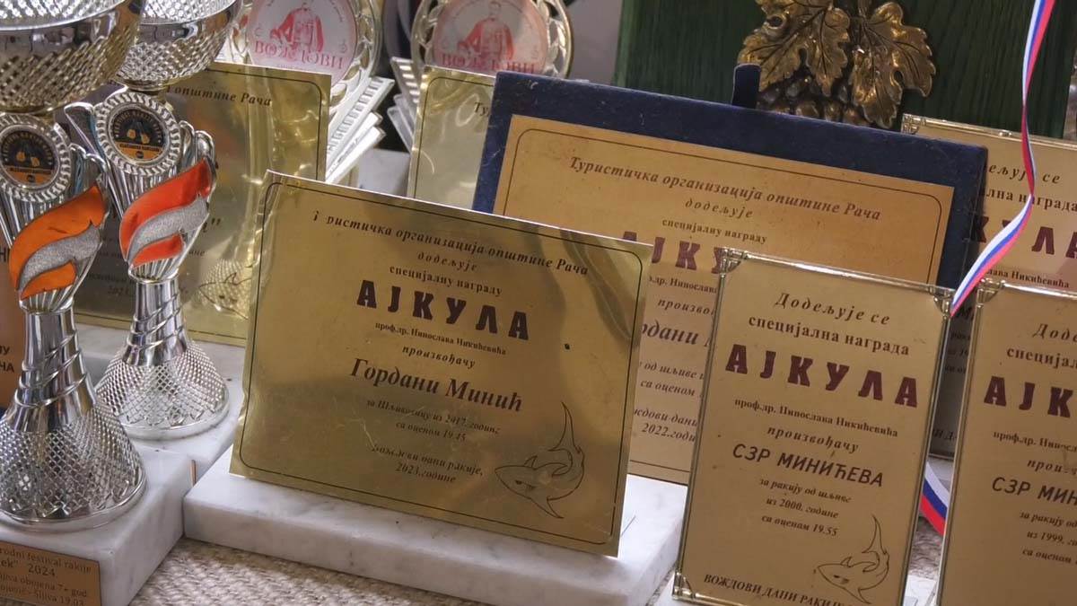 Srbija prva u Evropi po proizvodnji šljiva 5.jpg