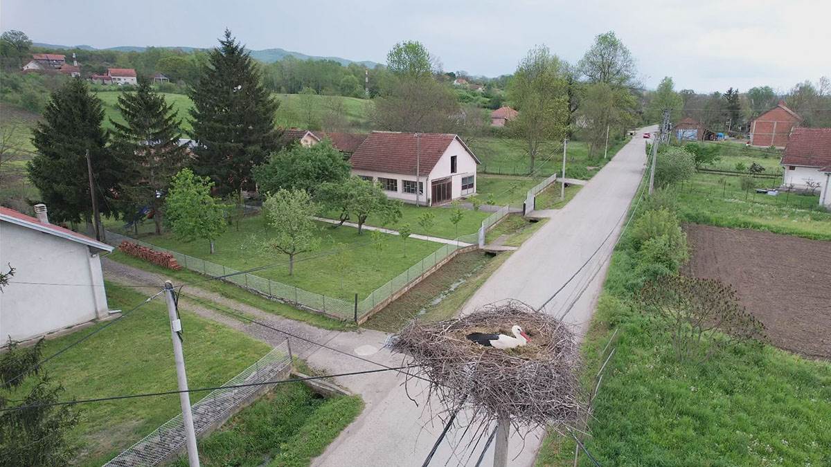 Rode u Miločaju kod Kraljeva (1).jpg