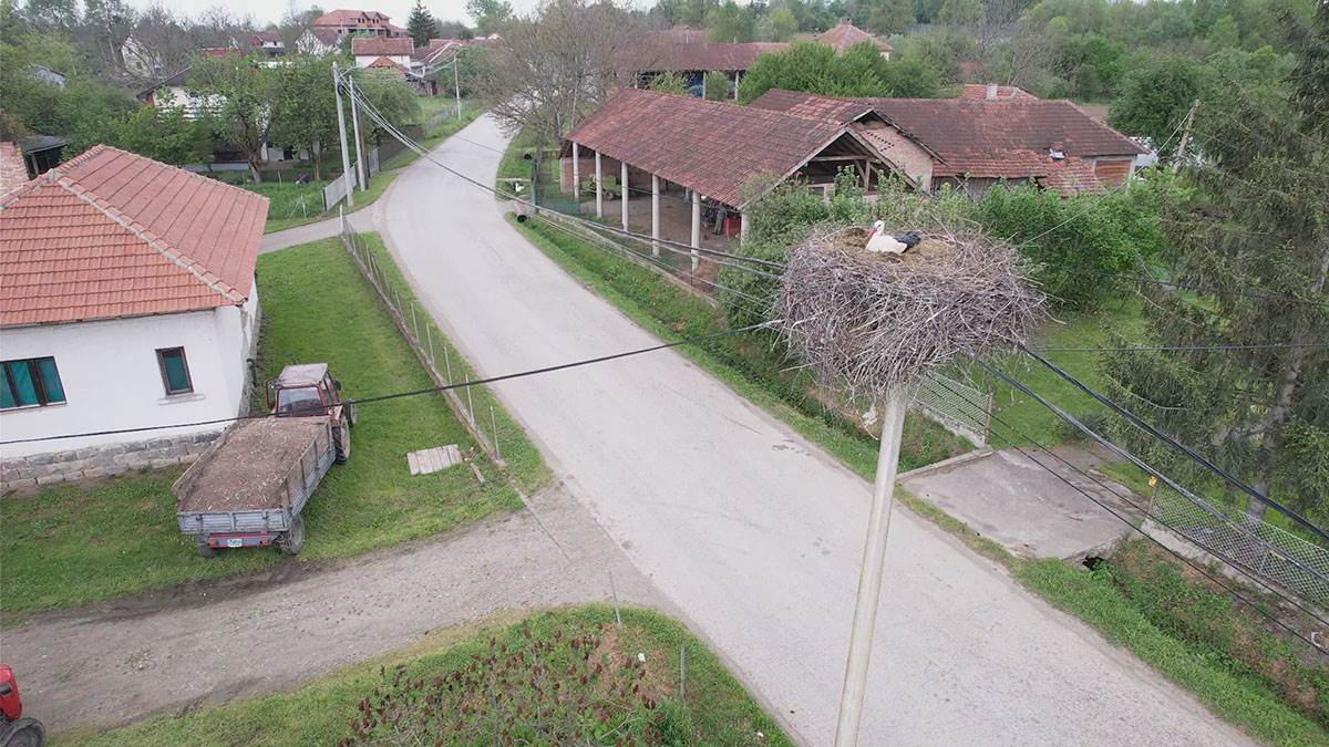 Rode u Miločaju kod Kraljeva (3).jpg