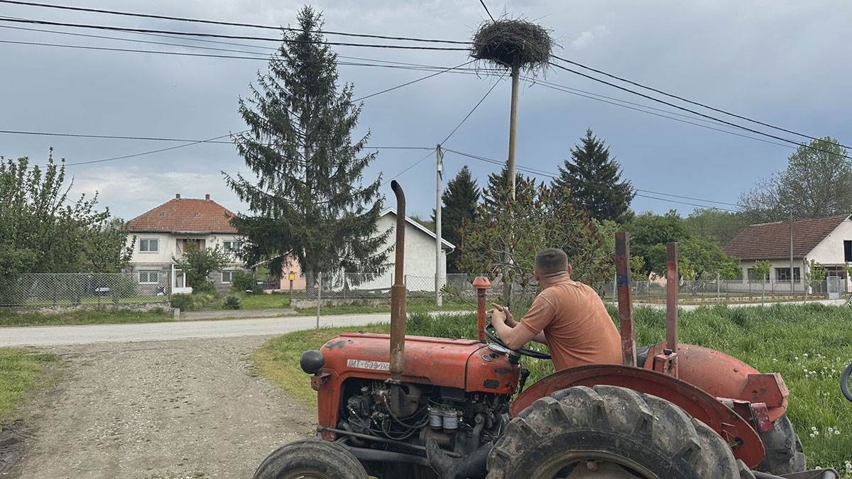 Rode u Miločaju kod Kraljeva (5).jpg