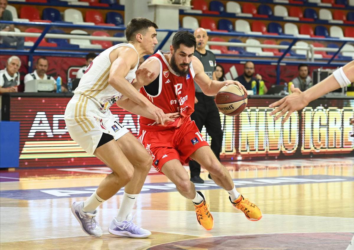 Crvena Zvezda - FMP (3).jpg