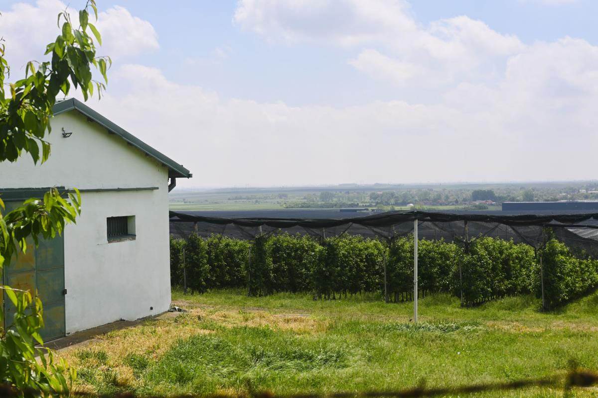 Imanje Ane Ivanović (3).jpg