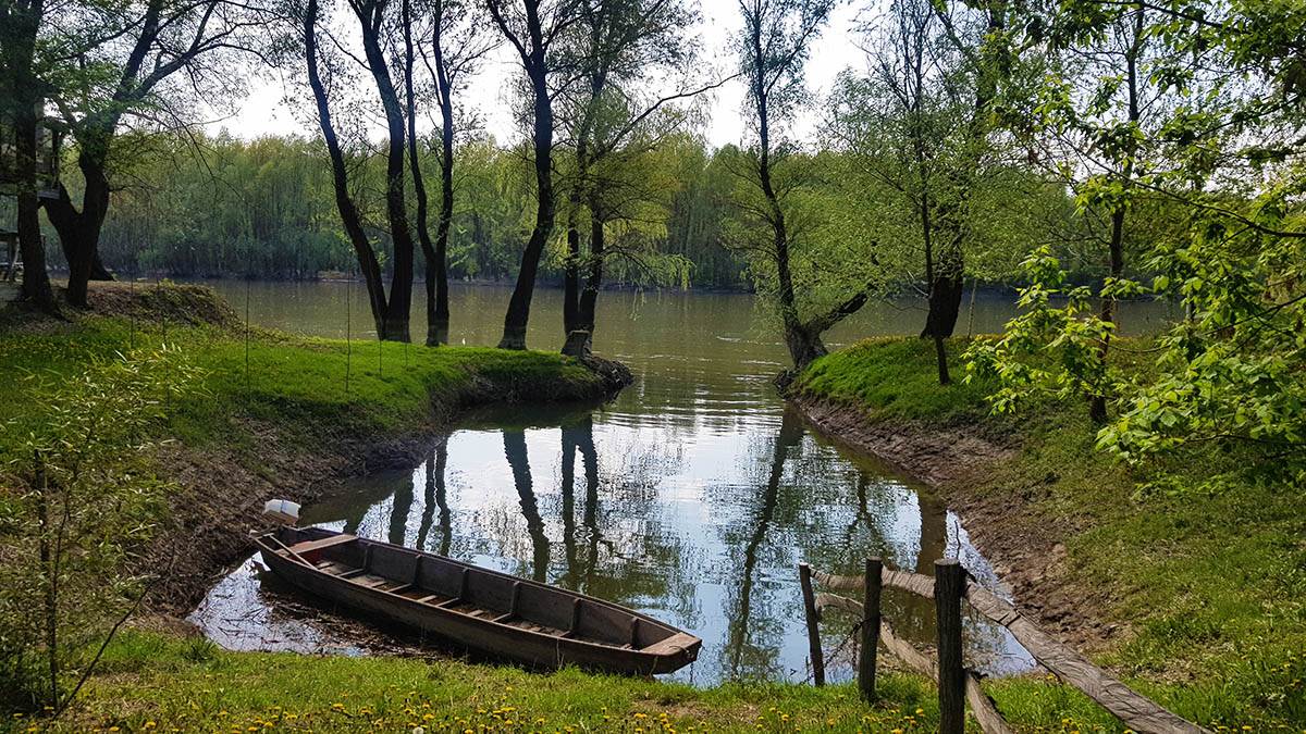 Koviljski rit (1).jpg