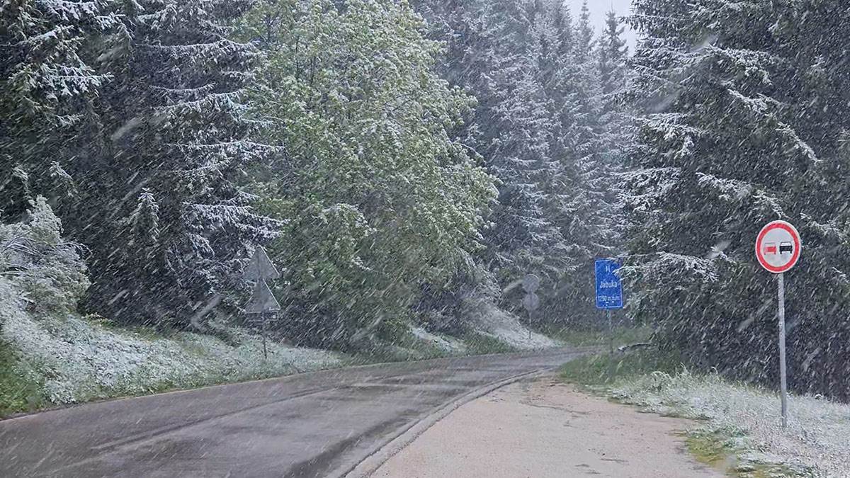 prijepolje-sneg-maj-jabuka (1).jpg