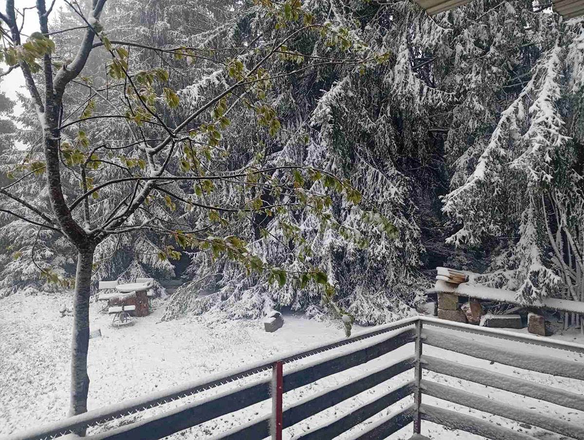 prijepolje-sneg-maj-jabuka (5).jpg