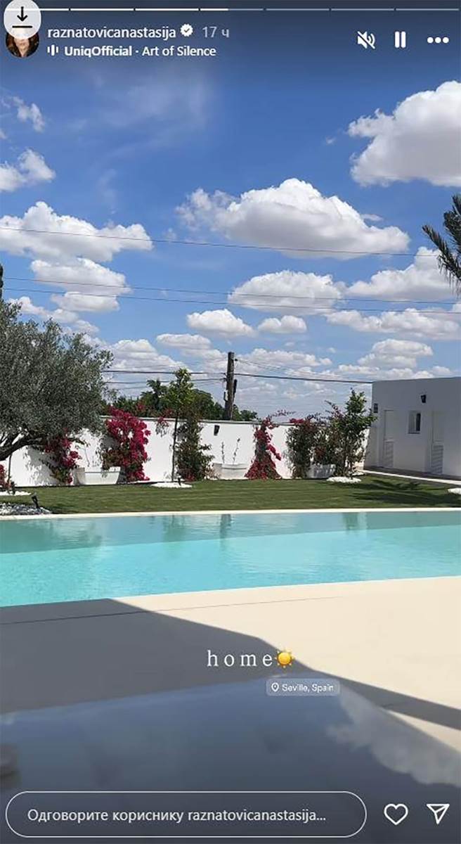 Anastasija Ražnatović (3).jpg