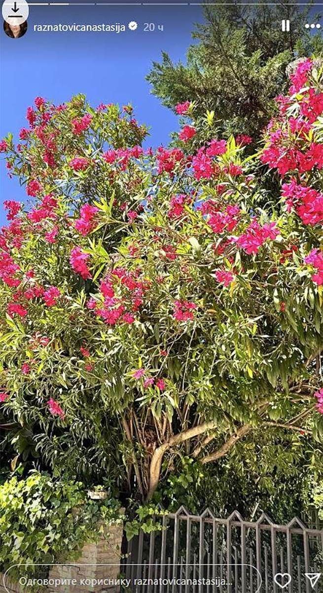 Anastasija Ražnatović (4).jpg