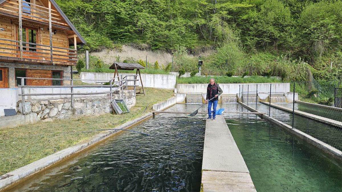 Vojo Vukašinović iz Prijepolja ima 10 ribnjaka s pastrmkom (3).jpg