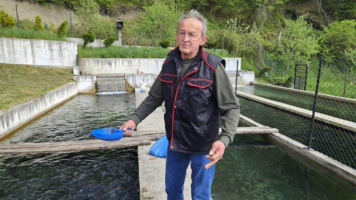 Vojo Vukašinović iz Prijepolja ima 10 ribnjaka s pastrmkom (4).jpg